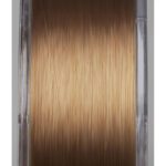 Fir Monofilament Prologic Density Crap Brown 0.40 mm 9,07 Kg 1000 m - imagine 2