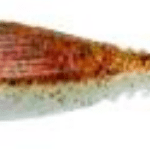 Soft Bait Gunki Grubby Shad 6 Brn Sug.Gr.&Red Fl