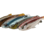 Shad 3D River Roach 8Cm/5G/Clear Water Mix/4Buc/Pl