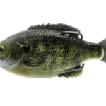 Naluca Dc Slide Gill 6,5Cm/17G Bluegill