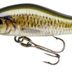 Cor F2 3,5Cm/2,5G Carp