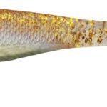 Shad Crazy Fin 10Cm Gs 2Buc/Pl
