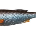 Shad Craft 8,8Cm/4,2G Roach 5Buc/Pl
