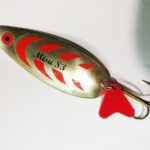 OSCILANTA ARGINTATA MISU S3 17G