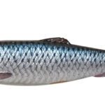 Lb 4D Herring 11Cm/9G/Roach 4Buc/Pl