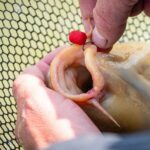Wafters Mainline Match Dumbell Red Krill 8 mm - imagine 4