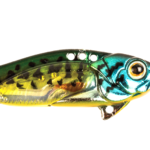 Cicada Astro Vibe 5,5Cm/16,7G