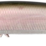 Vobler Illex Battle Minnow 80 8Cm/6,3G F Ghost Pearl Minnow