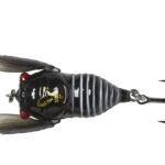 3D Cicada 3,3Cm/3,5G Black