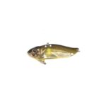 Cicada 4,5Cm/9,6G Astro Vibe Culoare 146Obe