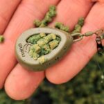 XX PLUMB GURU IMPACT BOMB 59G 2BUC/PL
