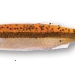 Bleak Paddle Tail 8Cm/4G/08 5Buc/Pl
