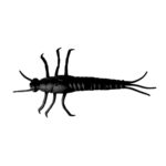 Naluca 3D Pvc Mayfly 5Cm/Black 8Buc