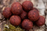 Boilies Solubil SuperRed 24 mm 1kg Seduction Baits - imagine 3
