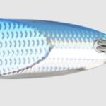 Lingura Horizon Golden Catch 8g : Culoare - 206