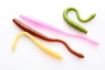 Naluca Pastrav Dying Worm 7cm Libra Lures : Culoare - 011 - imagine 2
