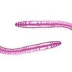 Naluca pastrav Fatty D'Worm Tournament 55mm *(12)  Libra Lures : Culoare - 018 Pink Pearl