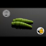 Naluca Pastrav Largo Slim Worm 2.8cm Libra Lures : Culoare - 004 - imagine 19