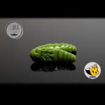 Naluca Pastrav Largo Worm 3.5cm Libra Lures : Culoare - 031 Olive
