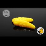 Naluca Pastrav Largo Worm 3cm Libra Lures : Culoare - 007 Yellow