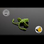 Naluca Pastrav Pro Nymph 1.8cm Libra Lures : Culoare - 031 Olive
