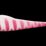 Ohio 7,5cm Tiger Relax (10buc/plic) : Culoare - TG005