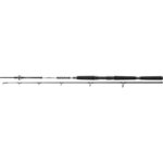Lanseta Daiwa Bg Offshore Pilk  2.40 m 40-125 g 2 Seg