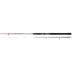 Lanseta Daiwa Megaforce Boat 24H 2.40 m 100-300 g 2 Seg